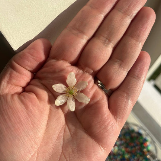 HVITVEIS blomstersmykke, 3D-tørket blomst, sølvkjede - KNASK