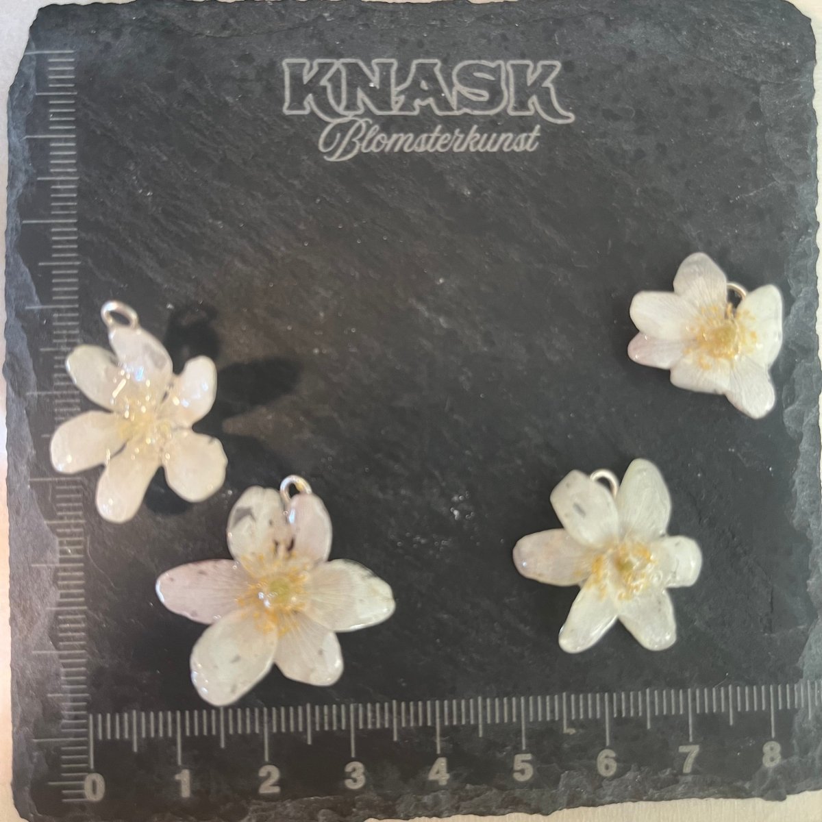 HVITVEIS øredobber - ekte tørkede blomster, sølv - Øredobber KNASK