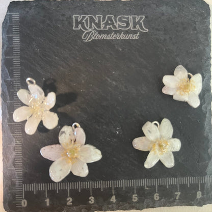 HVITVEIS øredobber - ekte tørkede blomster, sølv - Øredobber KNASK