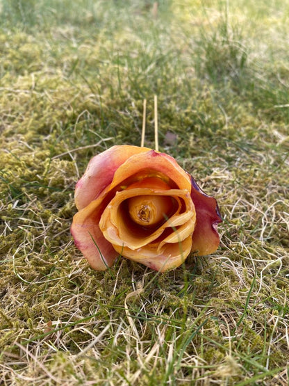 ILDROSE hårnål av ekte tørket blomst - Hårpynt KNASK