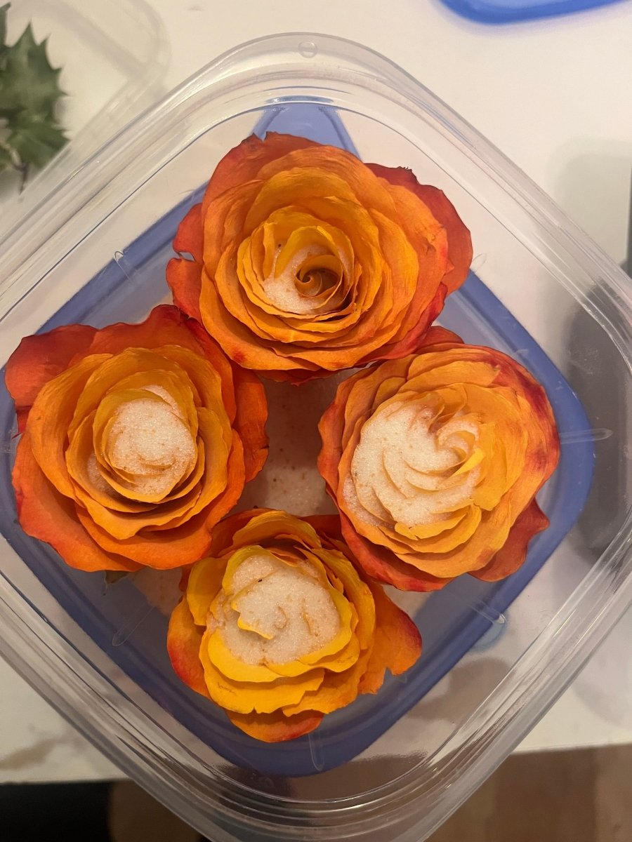 ILDROSE vinstopper - ekte tørket rose - Interiør KNASK