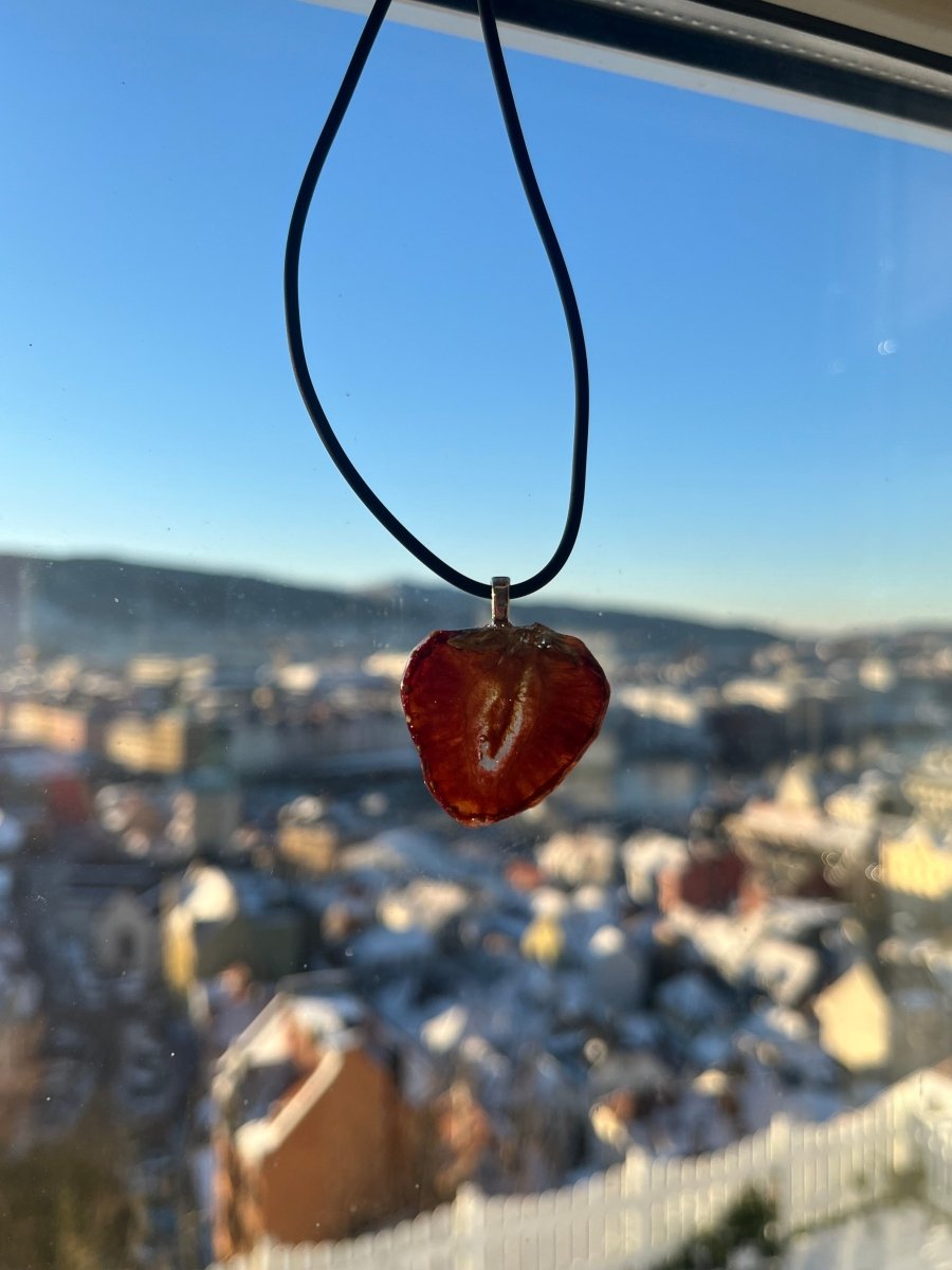 JORDBÆR - HJERTE smykke - ekte tørket frukt - Smykke KNASK