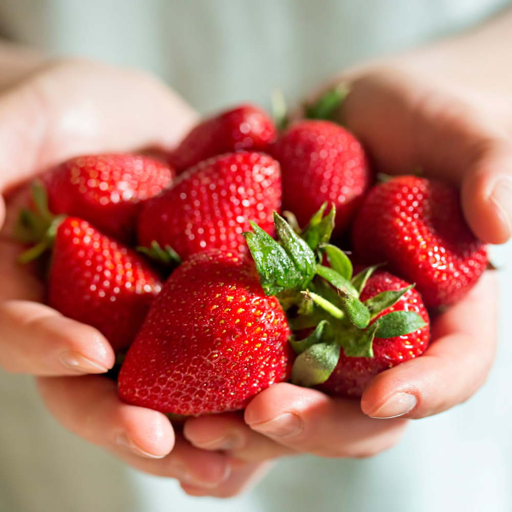 JORDBÆR - HJERTE smykke - ekte tørket frukt - Smykke KNASK