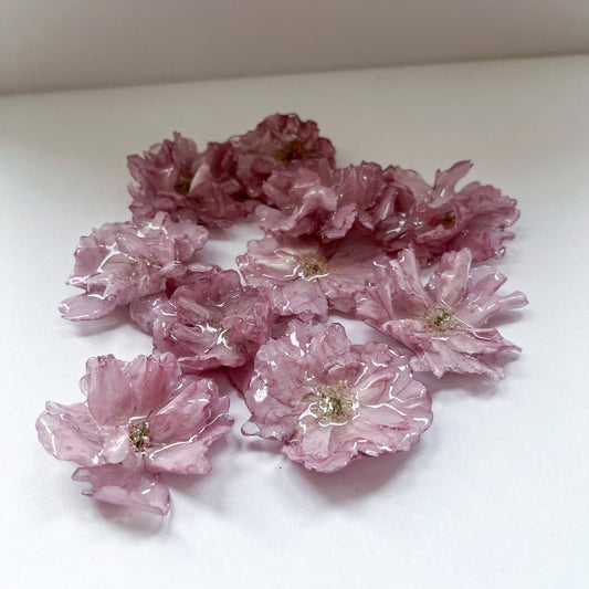 KIRSEBÆRBLOMST skulpturer, 3D - tørket blomst (kundedesign) - Interiør KNASK