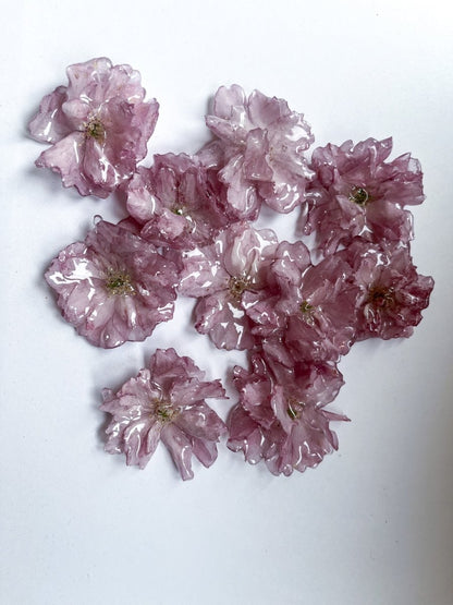 KIRSEBÆRBLOMST skulpturer, 3D - tørket blomst (kundedesign) - Interiør KNASK