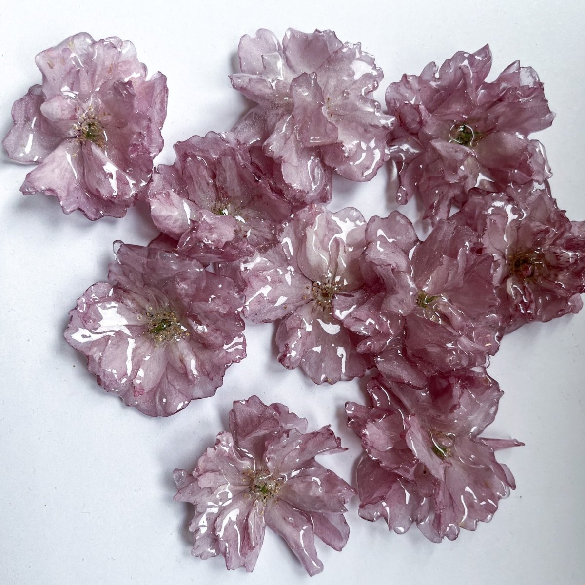 KIRSEBÆRBLOMST skulpturer, 3D - tørket blomst (kundedesign) - Interiør KNASK