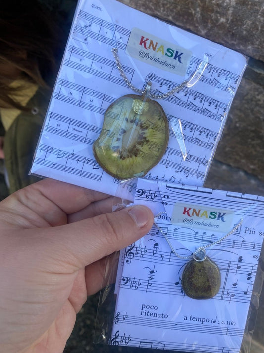 KIWI - KNASK