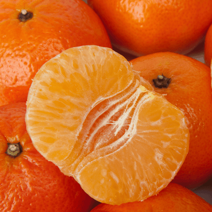 KLEMENTIN øredobber - ekte tørket frukt - Øredobber KNASK