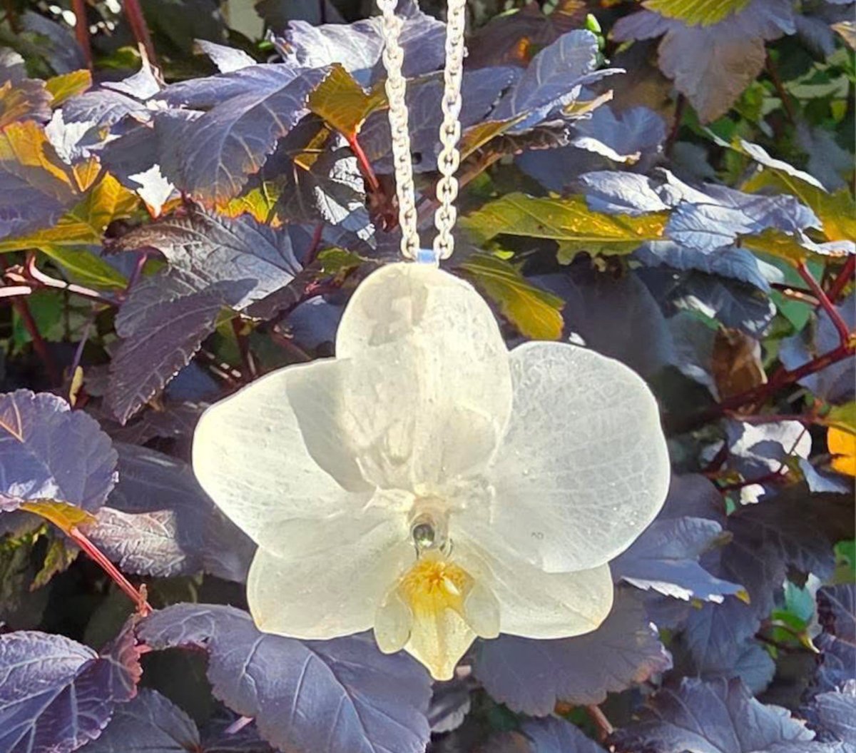 KREM ORKIDÉ blomstersmykke, ekte 3D - tørkede medium blomster, 925 sølvkjede - Smykke KNASK