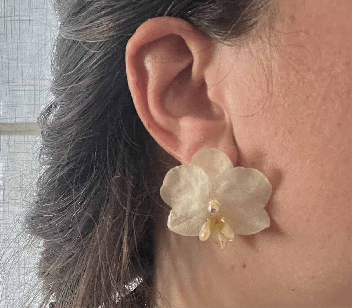 KREM ORKIDÉ øredobber, ekte 3D - tørkede medium blomster, 925 sølv ørekroker - KNASK