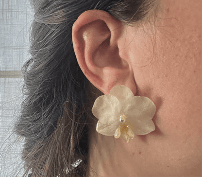 KREM ORKIDÉ øredobber, ekte 3D - tørkede medium blomster, 925 sølv ørekroker - KNASK