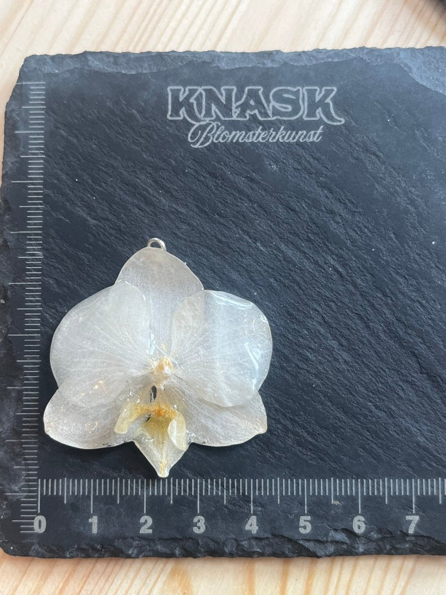 KREM ORKIDÉ smykke - ekte tørket blomst - Smykke KNASK