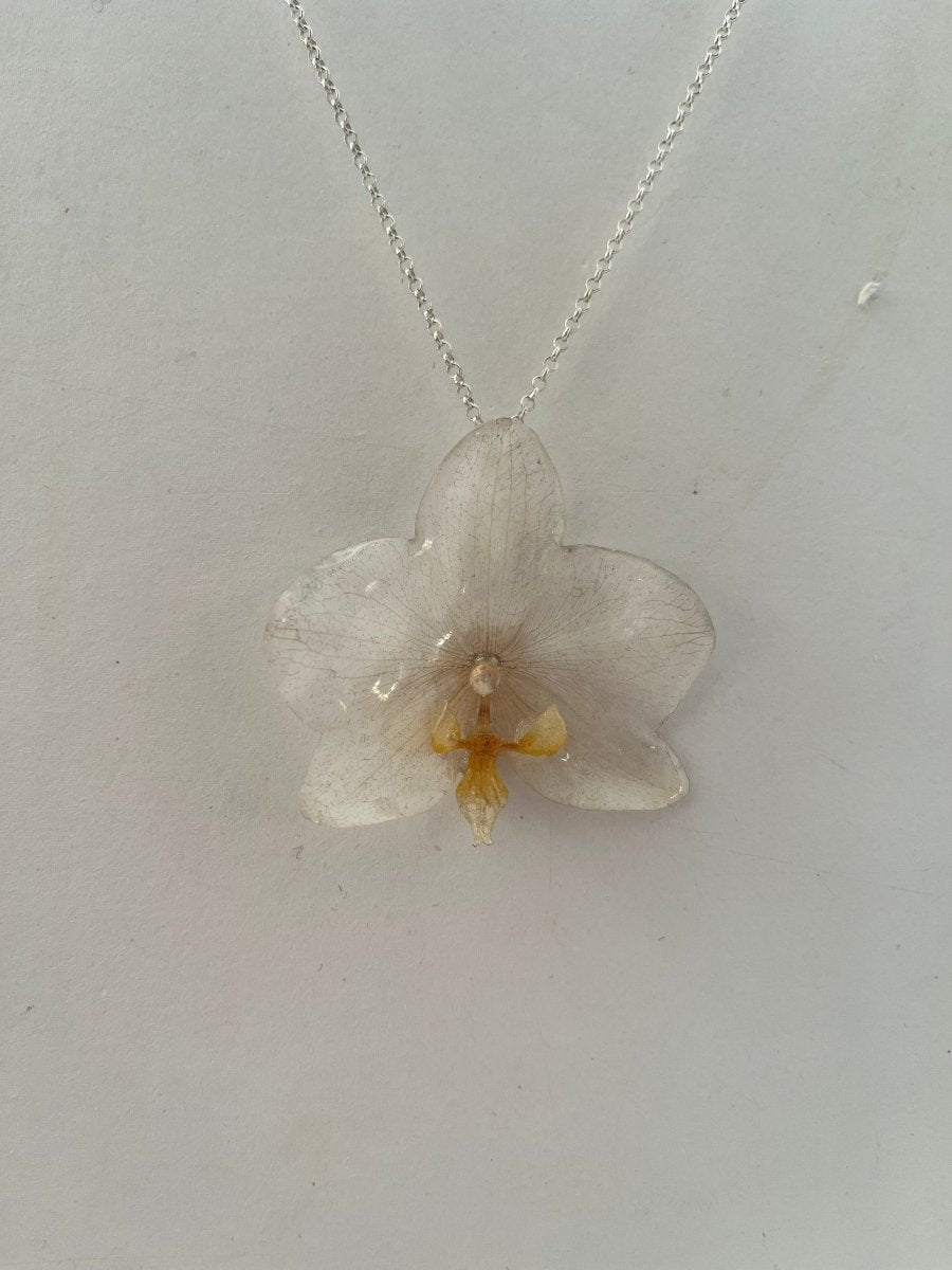 KREM ORKIDÉ smykke - ekte tørket blomst - Smykke KNASK