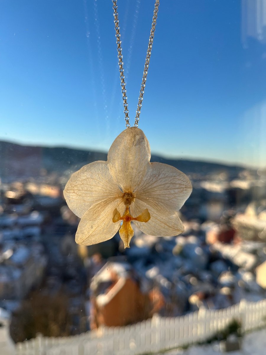 KREM ORKIDÉ smykke - ekte tørket blomst - Smykke KNASK