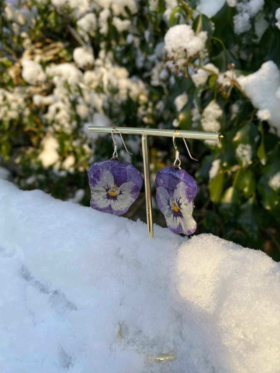 Lilla og hvite fiol-øredobber, ekte stemorsblomst, 925 sølv ørekroker - KNASK
