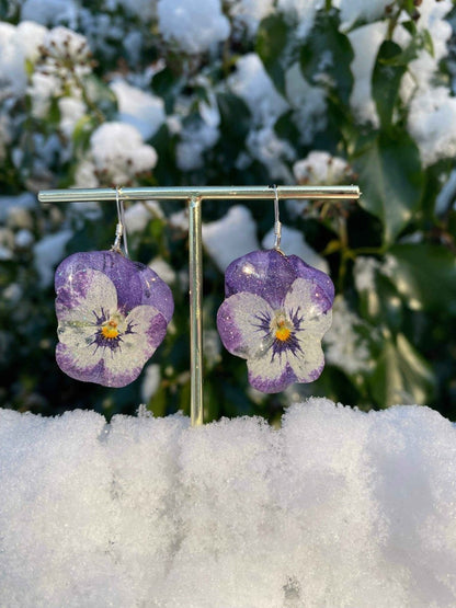 Lilla og hvite fiol-øredobber, ekte stemorsblomst, 925 sølv ørekroker - KNASK