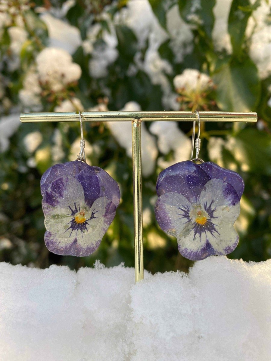 Lilla og hvite fiol-øredobber, ekte stemorsblomst, 925 sølv ørekroker - KNASK