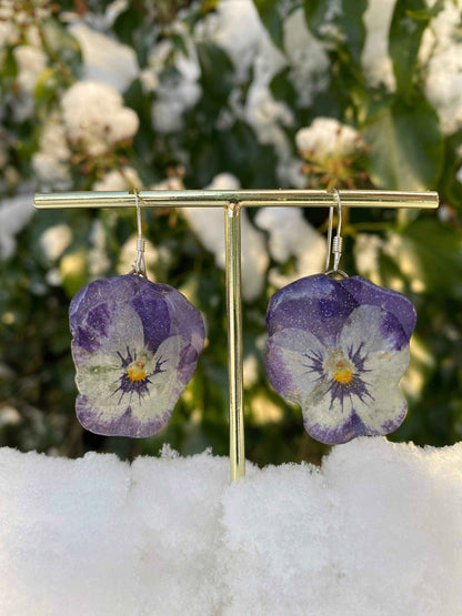 Lilla og hvite fiol-øredobber, ekte stemorsblomst, 925 sølv ørekroker - KNASK