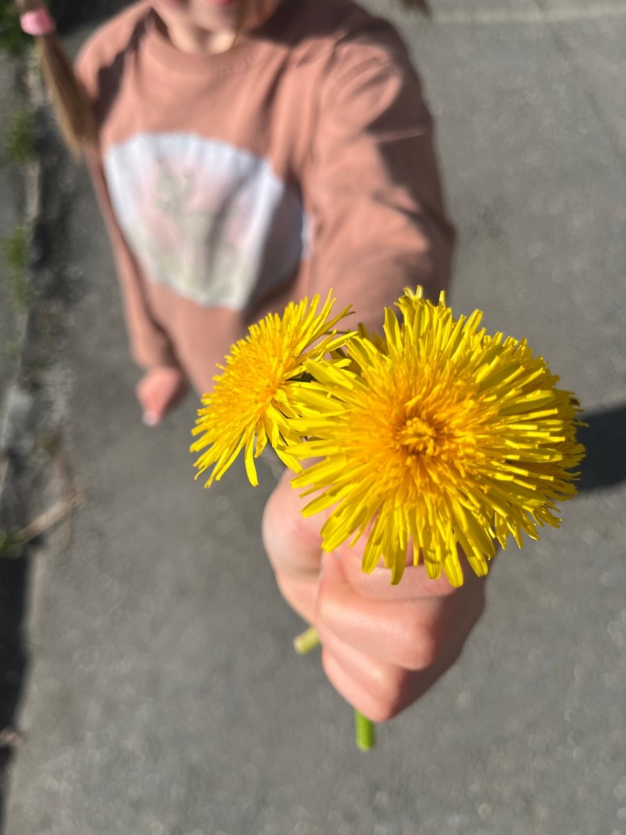 LØVETANN smykke - ekte tørket blomst - Smykke KNASK