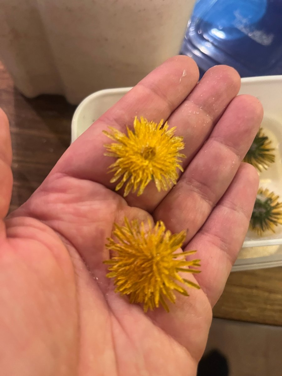 LØVETANN blomstersmykke, 3D - tørket blomst, 925 sølvkjede - Smykke KNASK