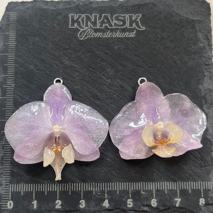 LYSEROSA ORKIDÉ øredobber - ekte tørket blomst - Øredobber KNASK