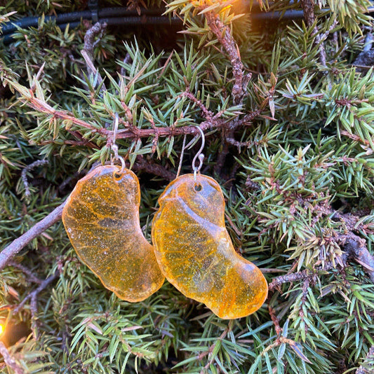 Mandarinbåt øredobber, ekte frukt, kirurgisk stål ørekroker - KNASK