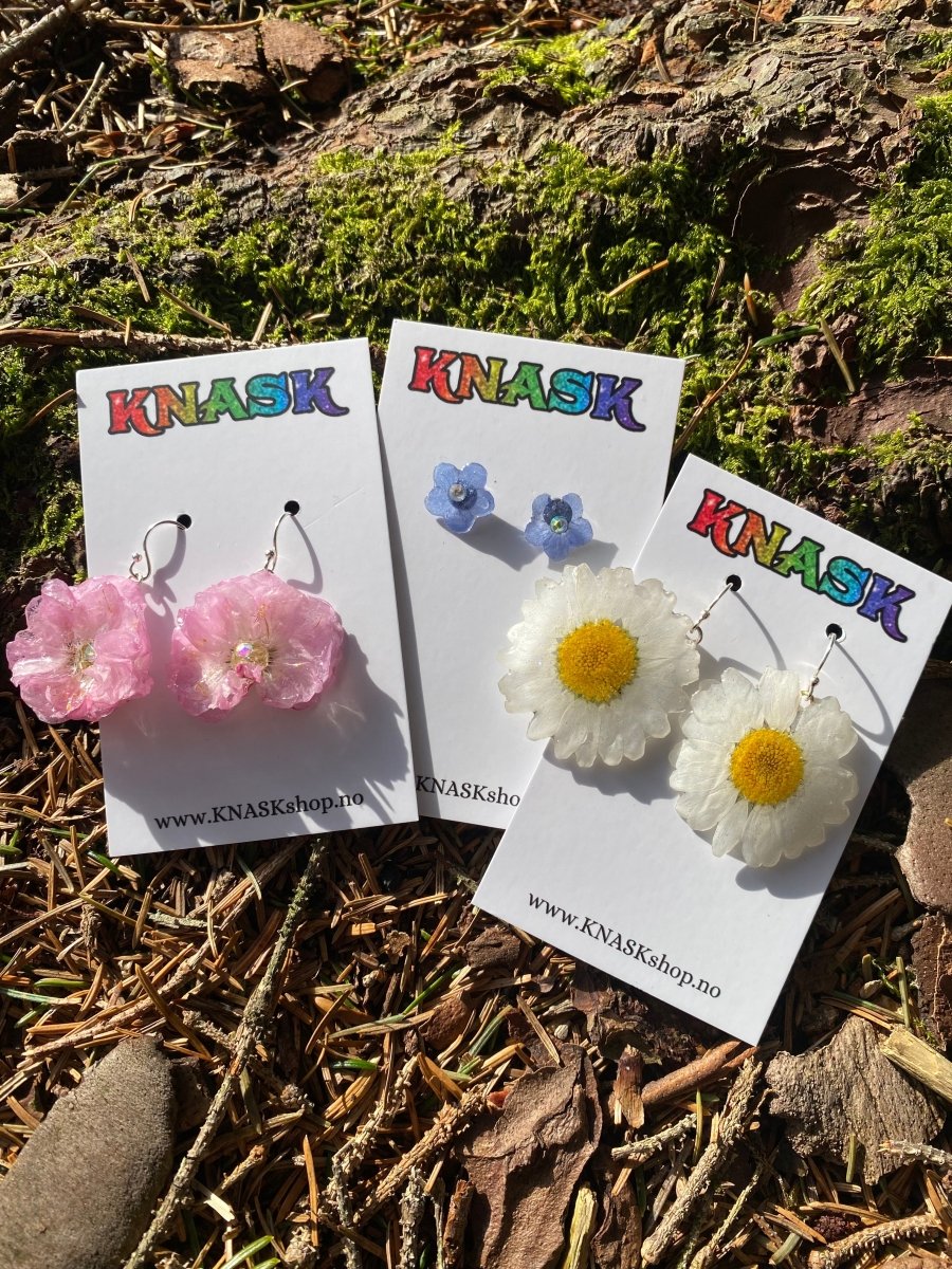 MARGERITT øredobber, 925 sølv ørekroker, ekte tørkede blomster - Øredobber KNASK