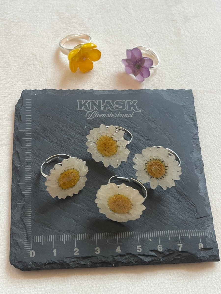 MARGERITT ring - ekte tørket blomst - Ringer KNASK