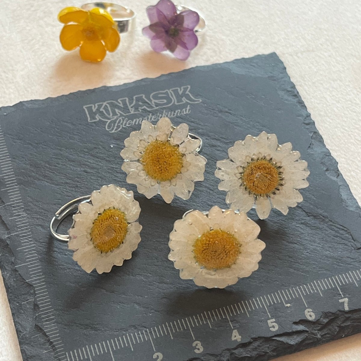MARGERITT ring - ekte tørket blomst - Ringer KNASK