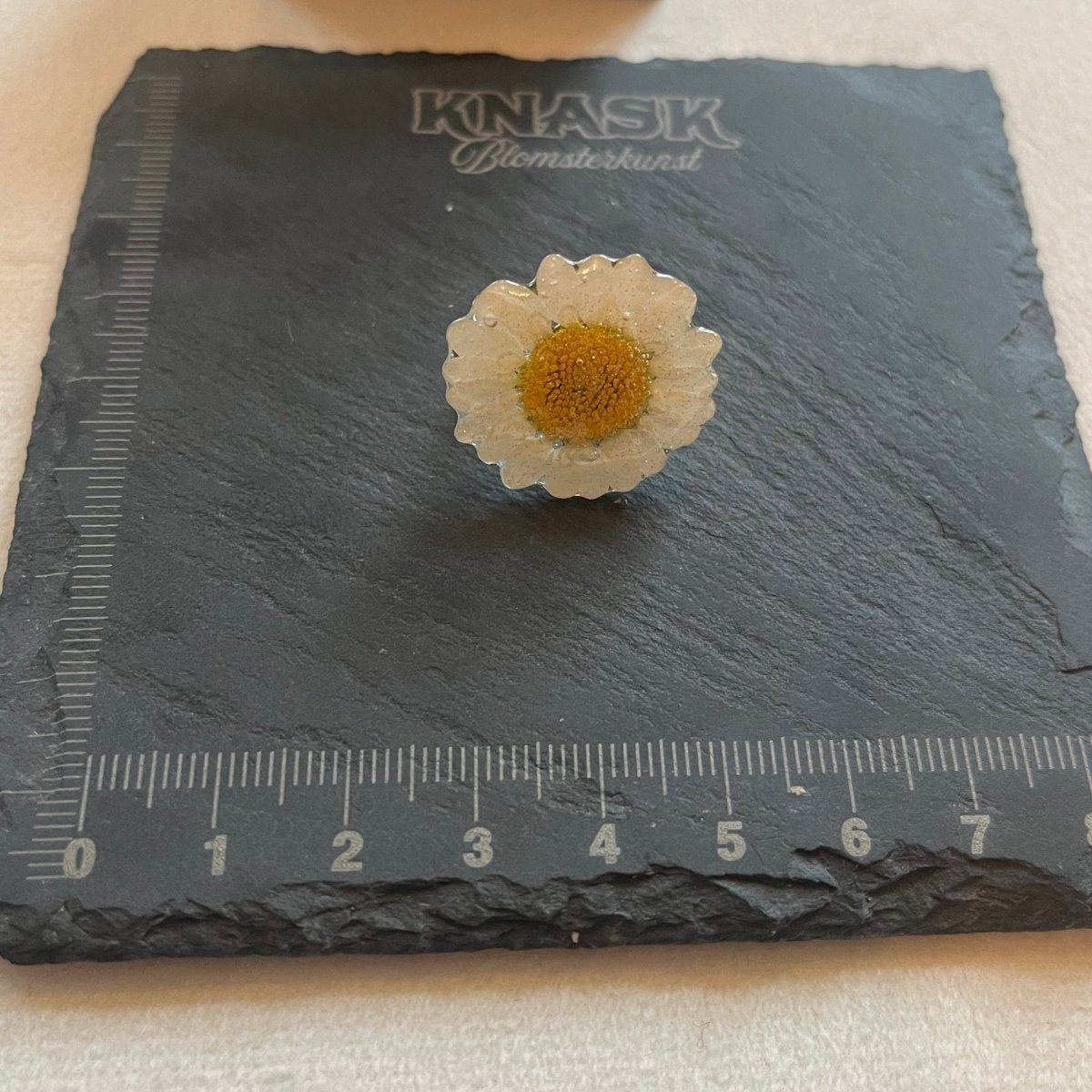 MARGERITT ring - ekte tørket blomst - Ringer KNASK