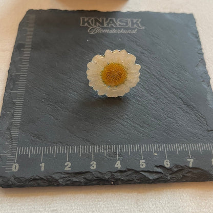 MARGERITT ring - ekte tørket blomst - Ringer KNASK