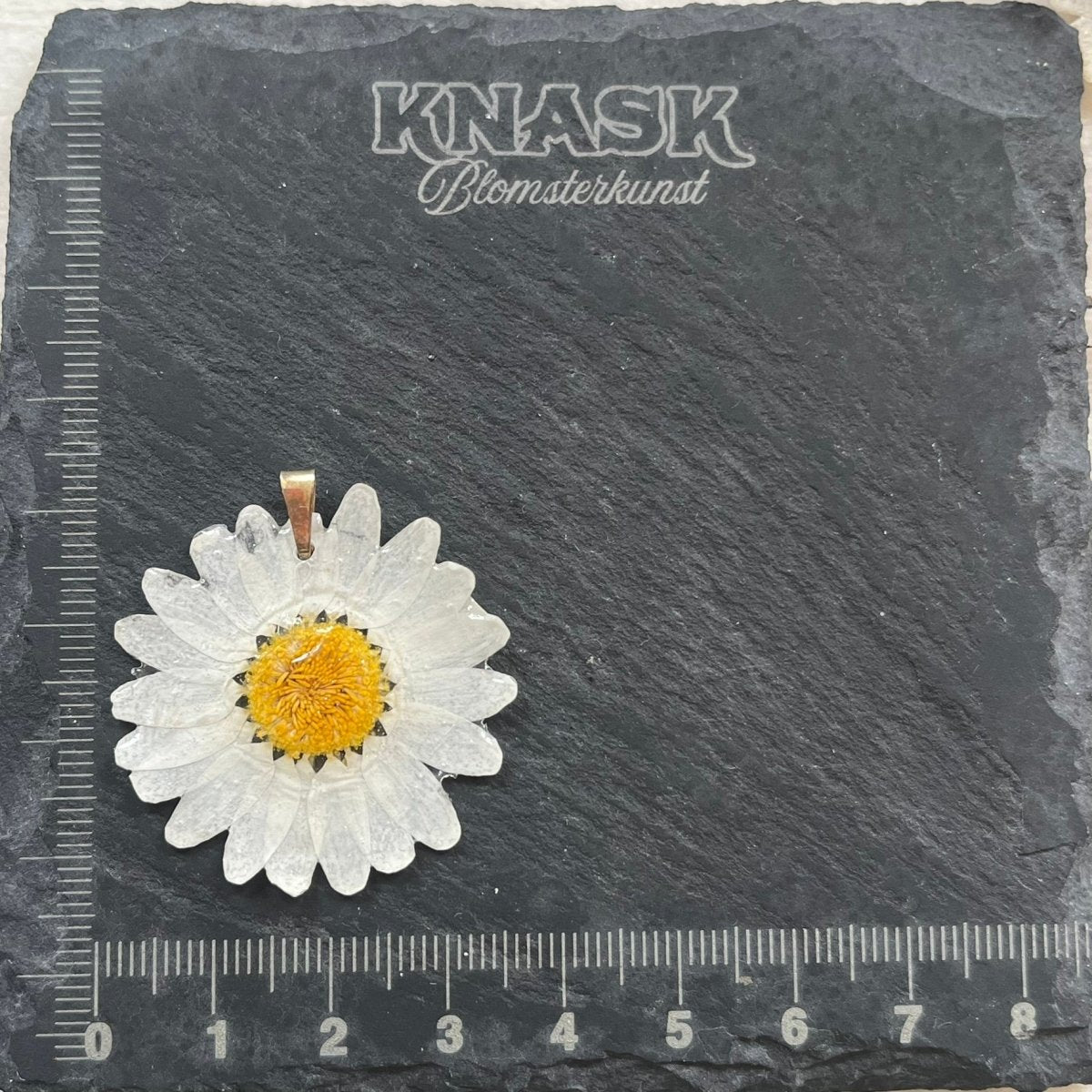 MARGERITT smykke - ekte tørket blomst - Smykke KNASK