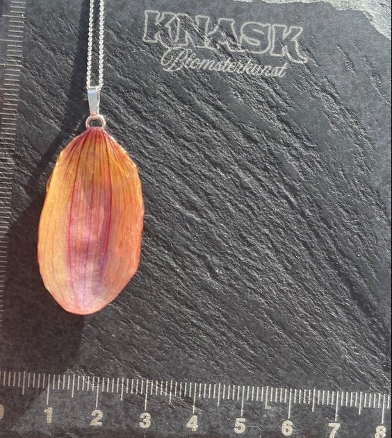 MIN LILLE HAGE kolleksjon - KNASK