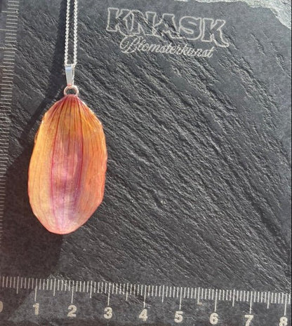 MIN LILLE HAGE kolleksjon - KNASK