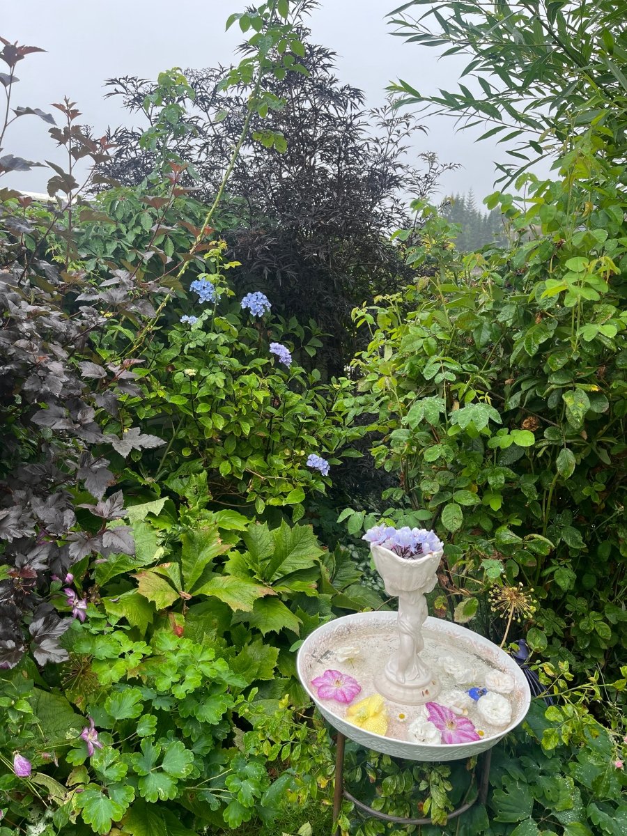 MIN LILLE HAGE kolleksjon - KNASK