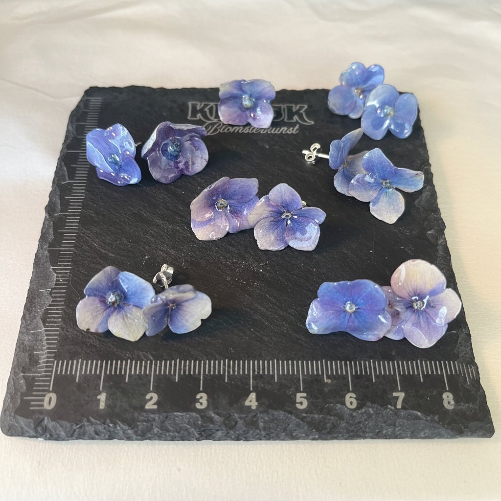 MINI HORTENSIA øredobber - ekte tørkede blomster, sølv Ørestift - Øredobber KNASK