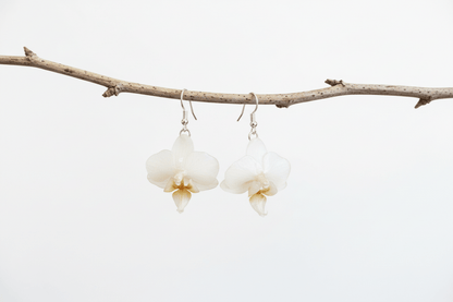 MINIATYR ORKIDÉ øredobber - ekte tørkede blomster - Øredobber KNASK