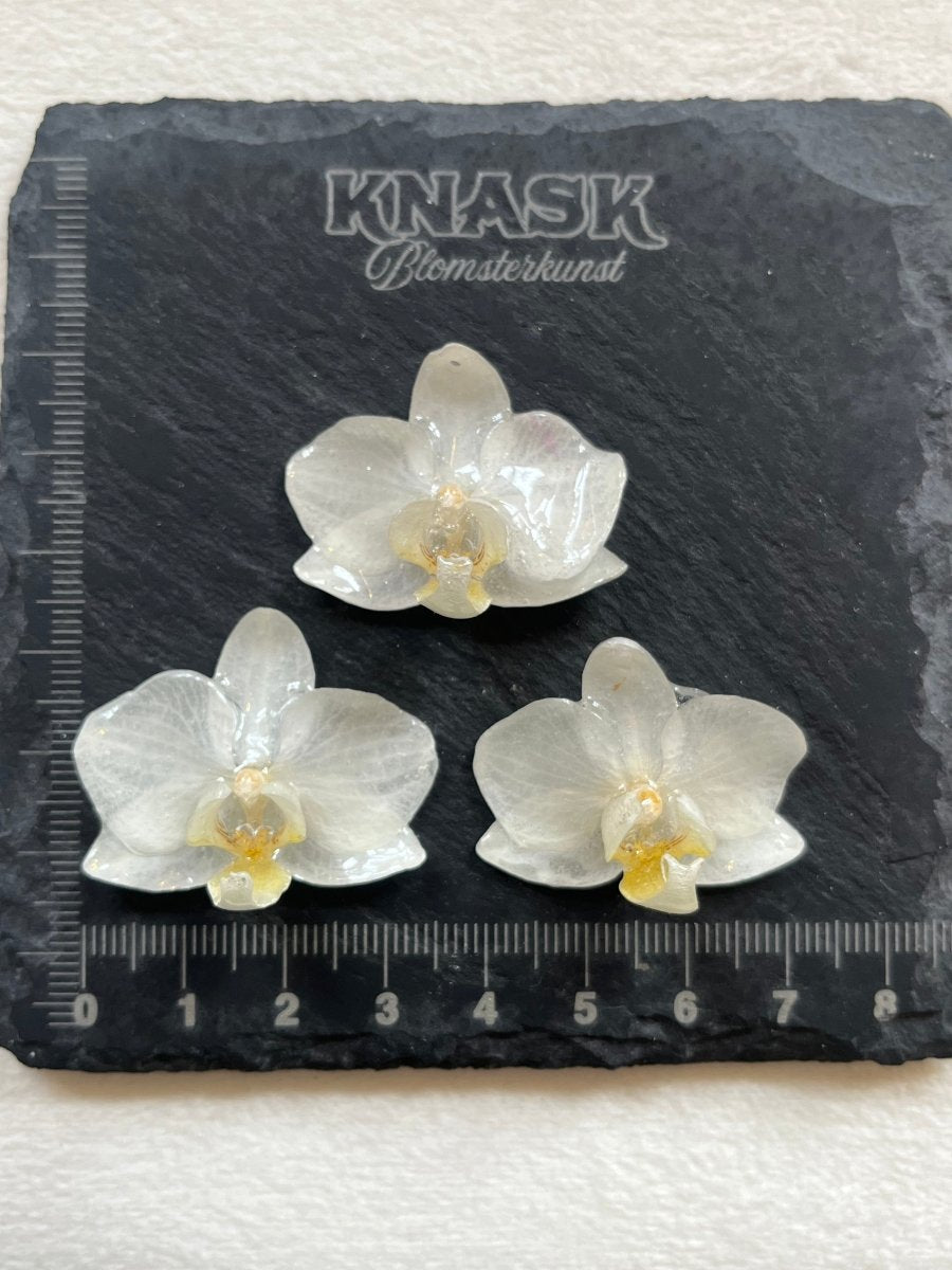 MINIATYR ORKIDÉ smykke - ekte tørket blomst - Smykke KNASK