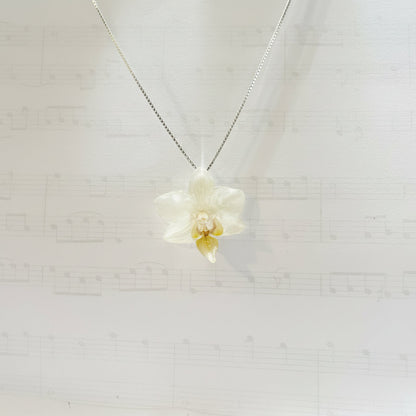MINIATYR ORKIDÉ smykke - ekte tørket blomst - Smykke KNASK