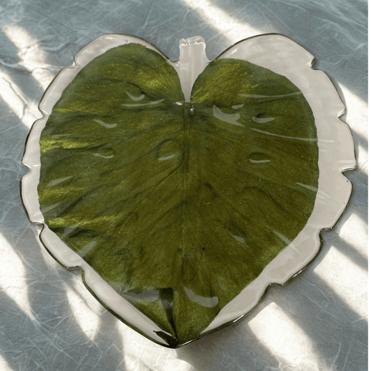 MONSTERA fat, ekte tørket blad (kun 1 finnes!) - Interiør KNASK