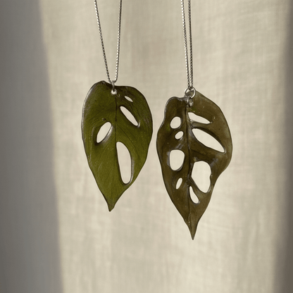 MONSTERA Monkey Leaf smykke - ekte tørket blad - Smykke KNASK