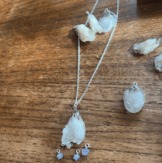 MYRULL (kommer høst 2026, eller kan forhånd) - KNASK