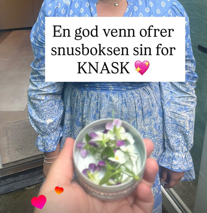 NATT OG DAG FIOLER øredobber, 3D - tørket stemorsblomst, 925 sølv - Øredobber KNASK