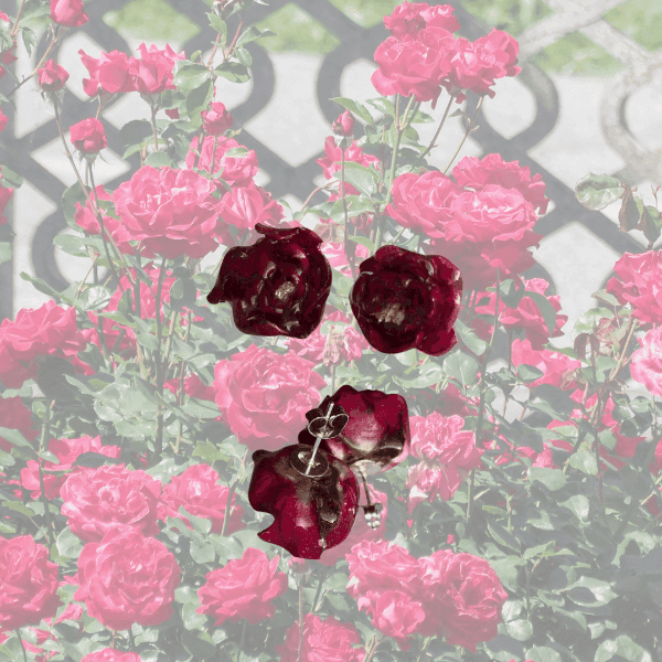 NESSA ROSER øredobber - ekte tørkede blomster - Øredobber KNASK
