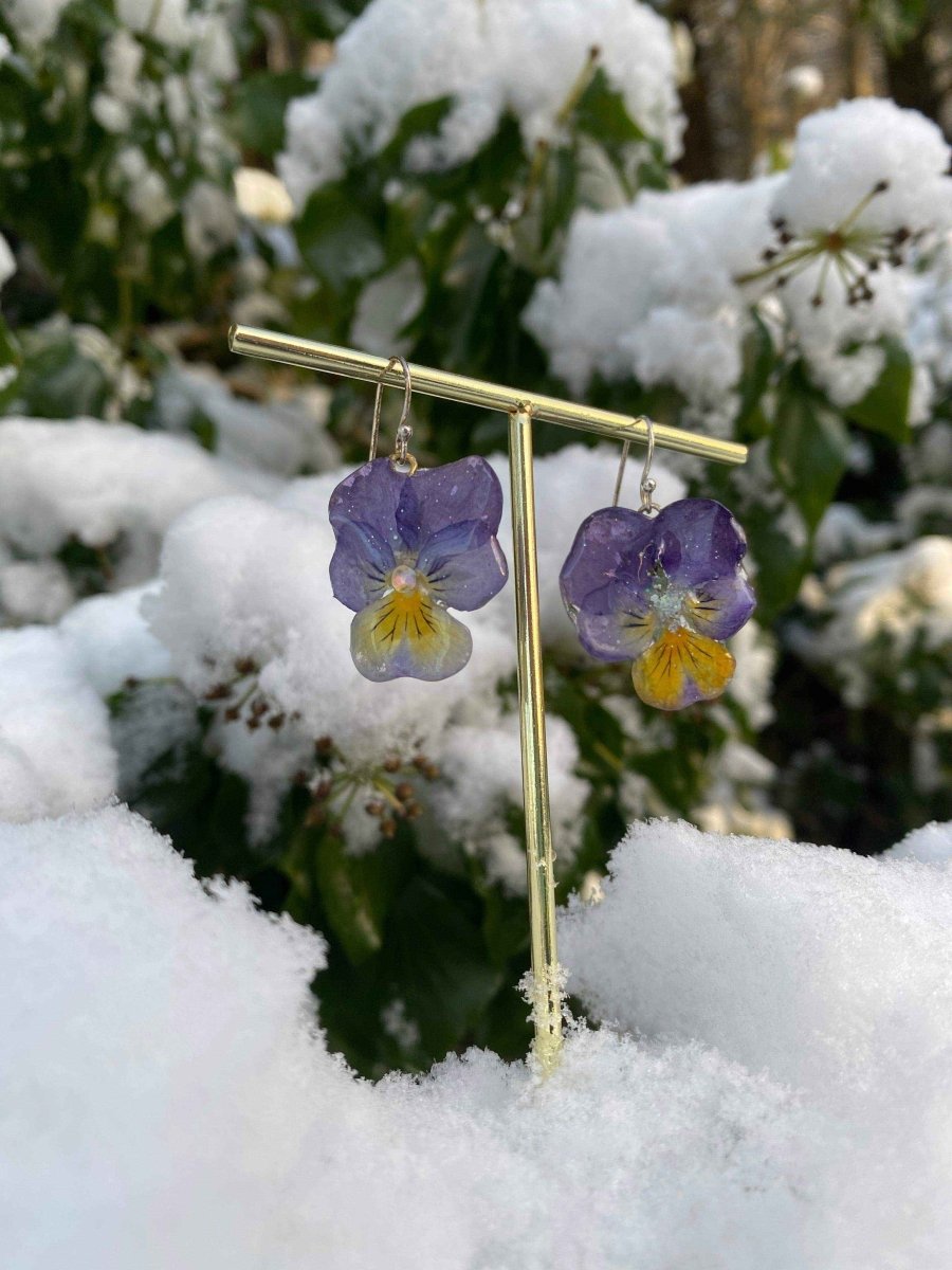 Nordlys fiol-øredobber, ekte stemorsblomst, 925 sølv ørekroker - KNASK