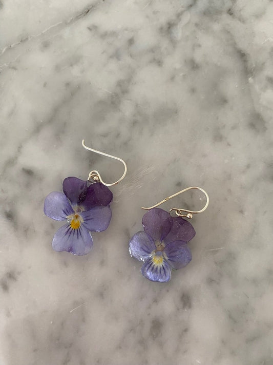 NORDLYS FIOL øredobber av ekte 3D - tørker stemorsblomst, 925 sølv ørekroker - Øredobber KNASK