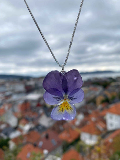 Nordlys fiol-smykke, ekte stemorsblomst, 925 sølvkjede - KNASK