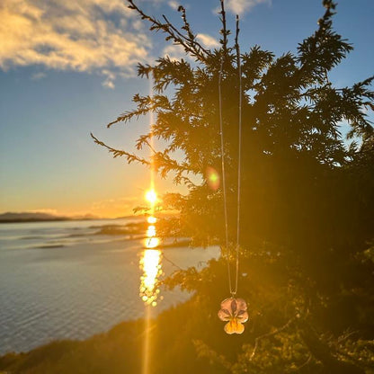 NORDLYS FIOL smykke - ekte tørket stemorsblomst - sølv - Smykke KNASK