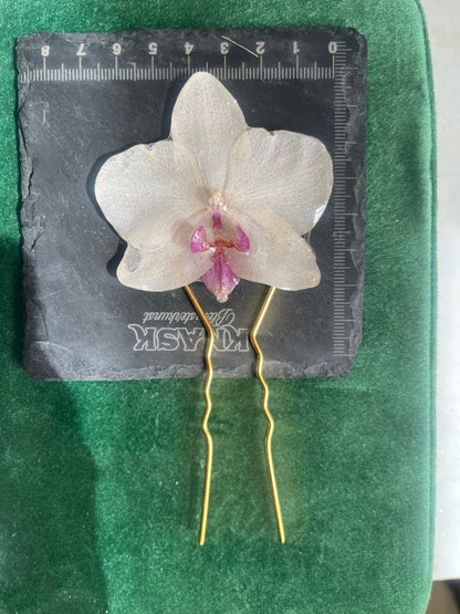 ORKIDÉ hårnål - ekte tørket blomst - Hårpynt KNASK