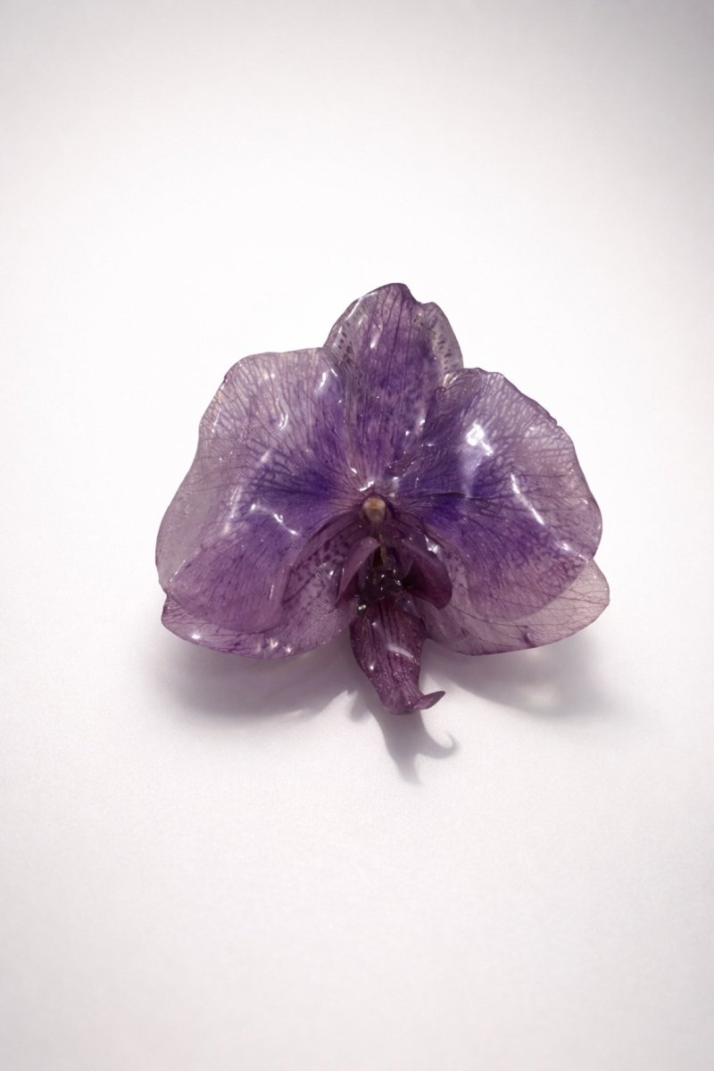 ORKIDÉ hårspenne - ekte tørket blomst - Hårpynt KNASK